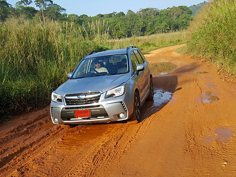 Subaru-Forester-Koa-krajom (7)