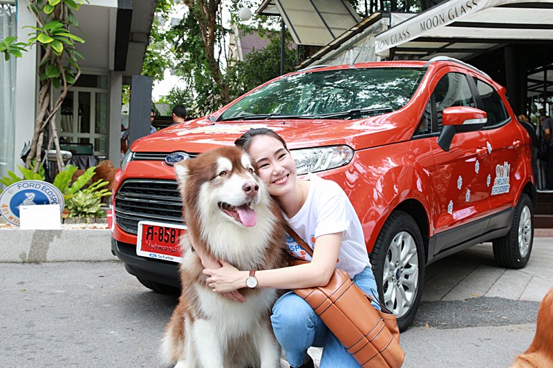 Ford-Ecosport-dog-workshop008