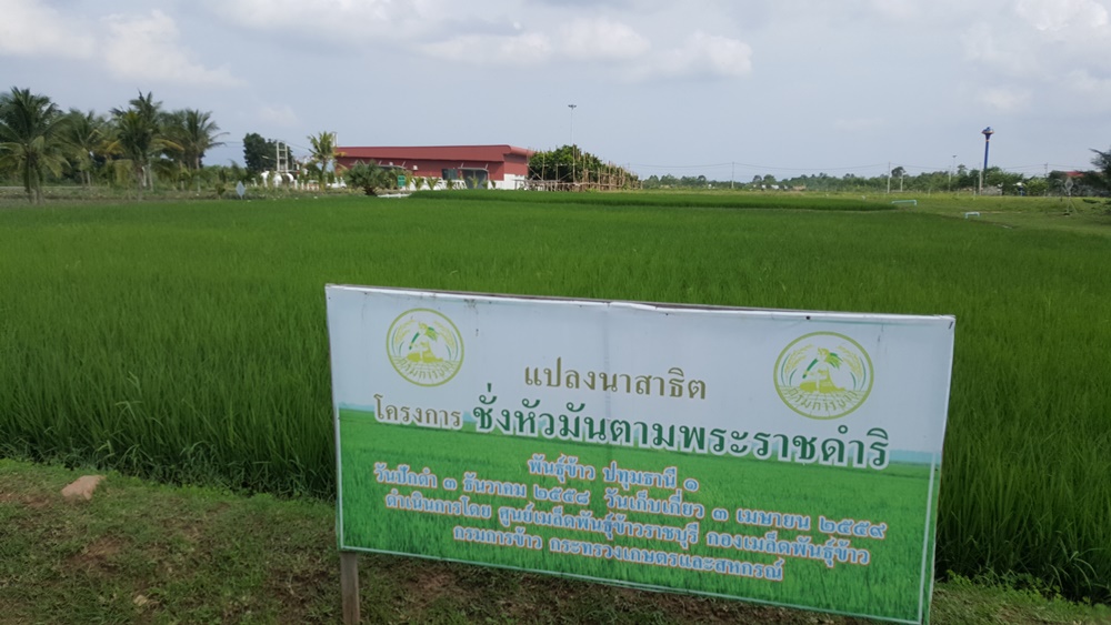 chm-project-5