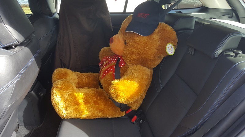 rear-seat-seatbelt (1)