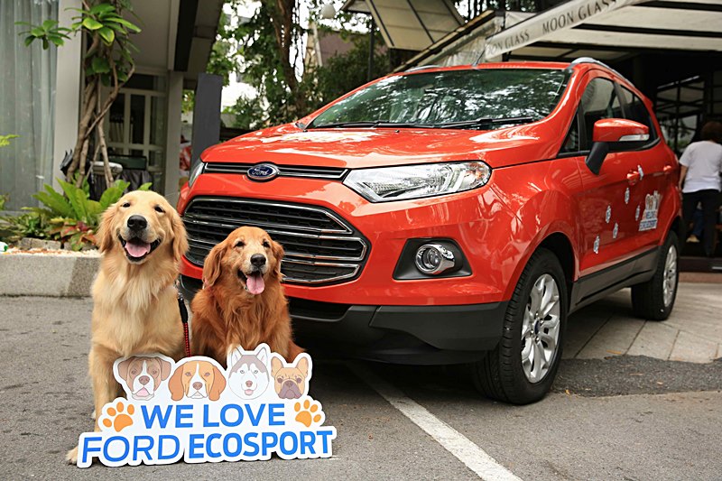 Ford-Ecosport-dog-workshop001